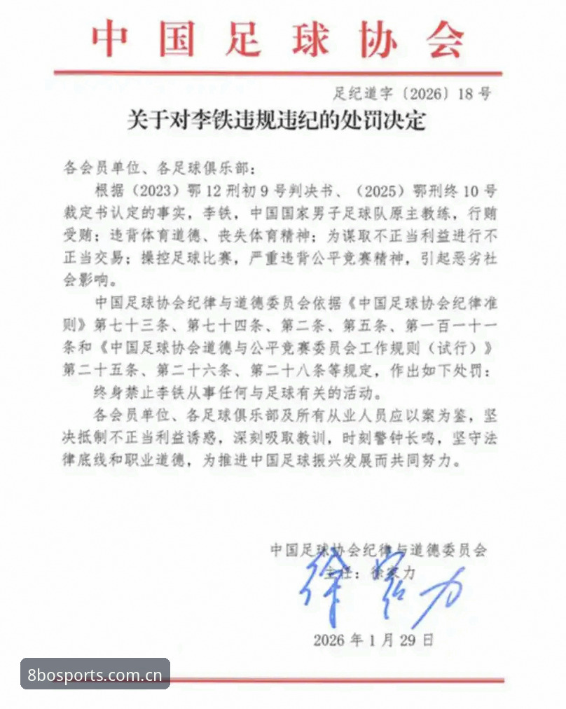 足协禁足名单深度解析：17人终身禁赛的实用警示